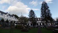 Hotel Twin Trees in Ballina