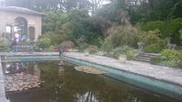 Im Garten auf Garinish island