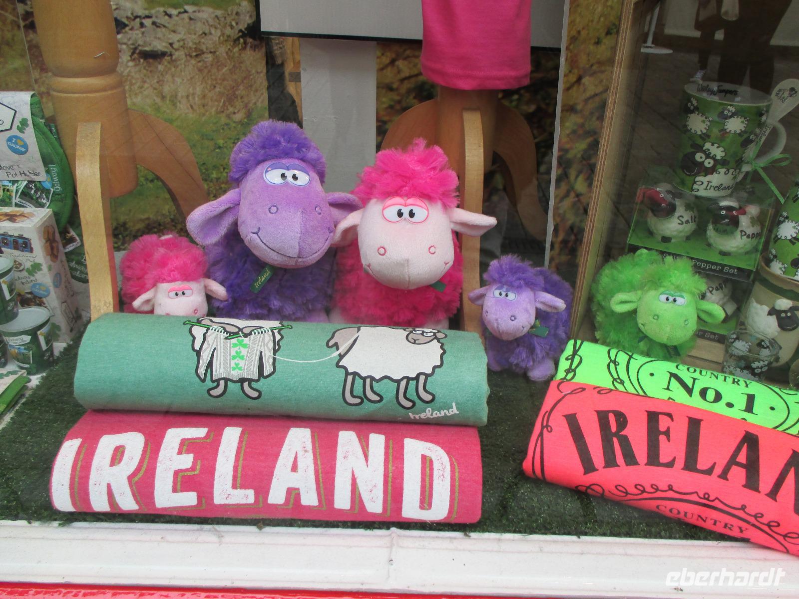 Irland erwartet uns