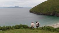 Keem Bay