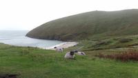 Keem Bay