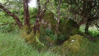 Killarney Nationalpark