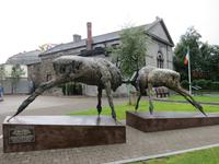 Killarney