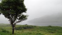 Killary Harbour 