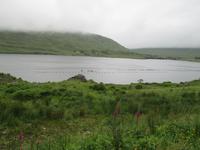 Killary harbour