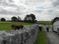 Kilmacduagh