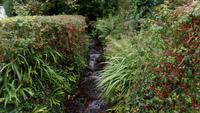 Kylemore Garten