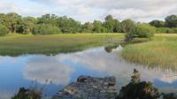 Lough Leane