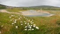 Mizen Head
