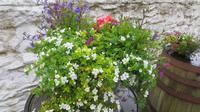 Muckross Farm