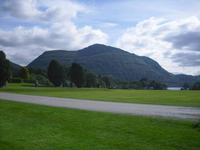 Muckross Garden