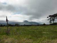 Muckross farm