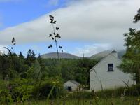 Muckross farm