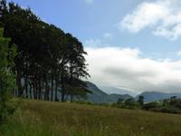 Muckross farm