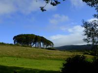 Muckross farm