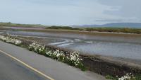 Nach Connemara