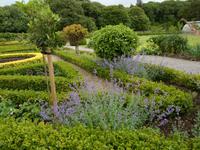 Park in Muckross