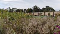 Phoenix Park