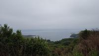 Ring of Beara