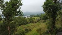 Ring of Beara
