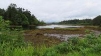 Ring of Beara