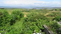 Ring of Beara