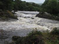 Ring of Beara