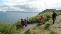 Ring of Kerry Dingleblick