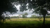 Spaziergang im Park von Muckross House