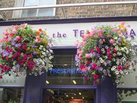 Temple Bar