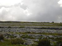 The Burren