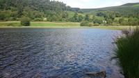 Unterwegs in  Wicklow Mountains 2