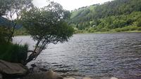 Unterwegs in  Wicklow Mountains