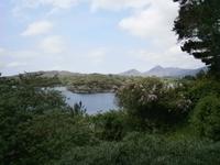 auf Garnish Island
