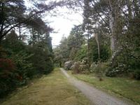 auf Garnish Island