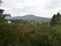 auf Garnish Island
