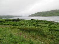 killary harbour