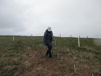  Ceide Fields