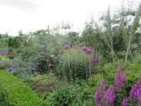  Dublin: Garten im Phoenix-Park