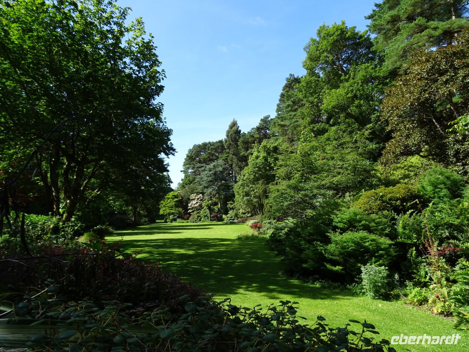  Glenveagh Park