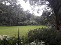  Glenveagh Park