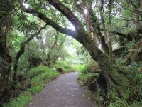  Glenveagh Park