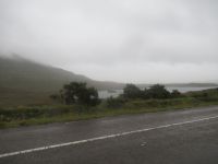  Nebel in Connemara