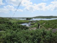  Seen in Connemara