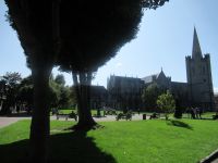  St. Patrick´s Cathedral