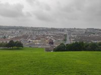 013-Derry Bogland