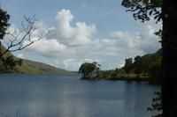 016-Glenveigh-NP