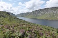 017-Glenveigh-NP
