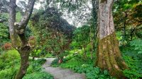 019 – Irland, Glenveagh Nationalpark