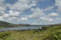 019-Glenveigh-NP